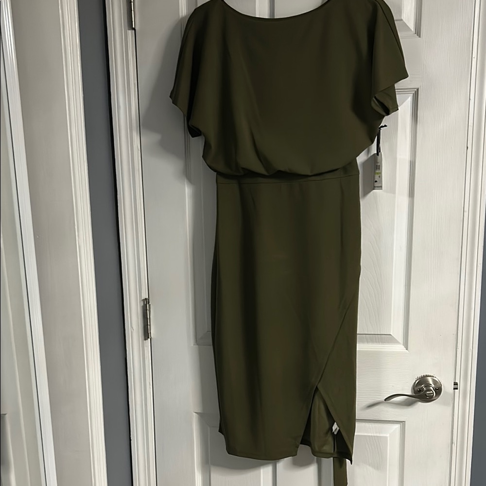Kensie Green Sheath Dress with Bateau Neckline and Flutter Sleeves..